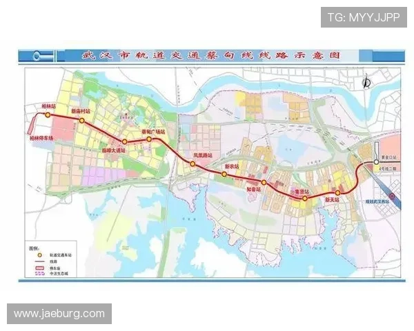 武汉羽毛球队技术分析与表现评估探讨及未来发展方向研究