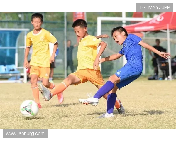 中国足球明星背后的故事与成就全揭秘，探索他们的成长与奋斗历程