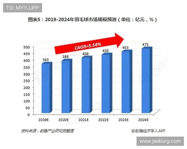 南京羽毛球队个人能力分析与发展策略探讨