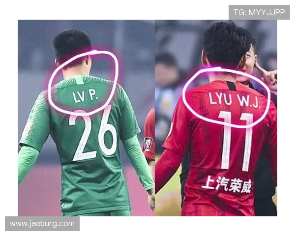 武汉排球队挑战赛特别报道：从默默无闻到荣耀巅峰的奋斗历程